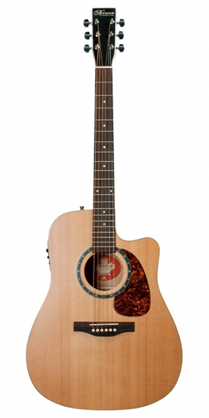 028047 Protege B18 CW Cedar Presys Электро-акустическая гитара, Norman