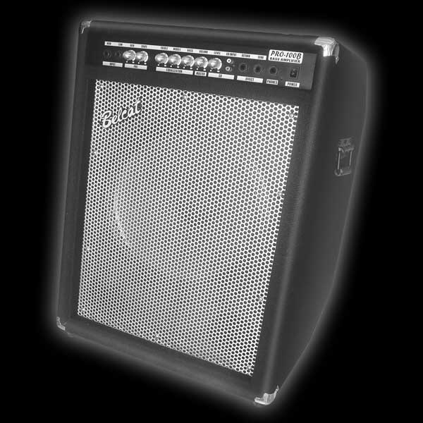 Pro-100B Басовый комбоусилитель, Belcat