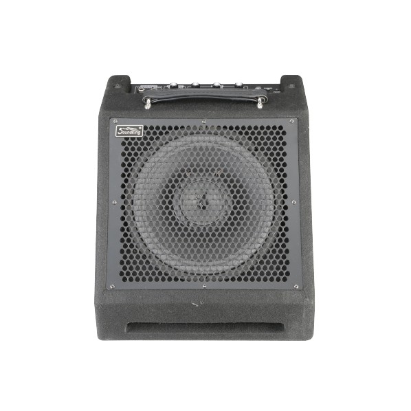 DS30B Монитор для цифровой ударной установки, 30Вт, Soundking