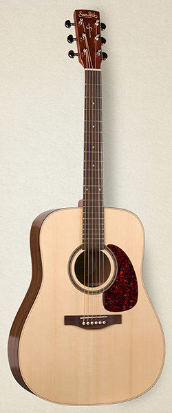 033669 Woodland Pro Spruce SG QIT Электро-акустическая гитара, Simon & Patrick