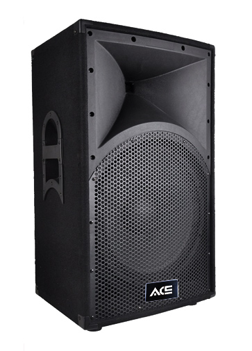 TA-12 Пассивная акустическая система, 300Вт, Ace Audio