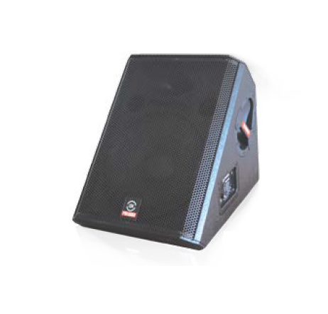 NWX-115M Монитор пассивный, двухполосный, Leem