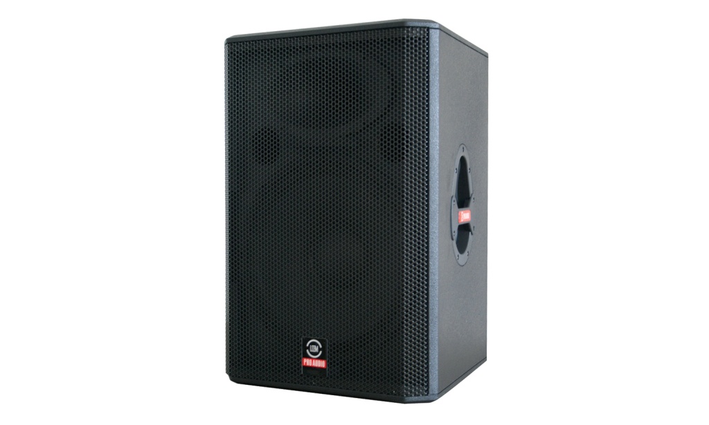 WX-15P Акустическая система 300/600/1200Вт, Leem