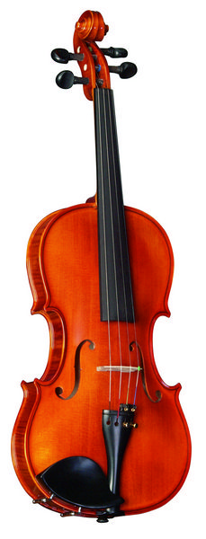 175w-4/4 Скрипка концертная 4/4, Strunal