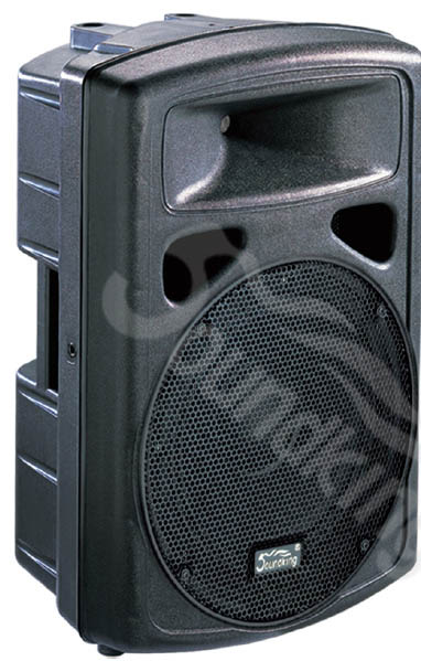FP0212 Пассивная акустическая система, 200Вт, Soundking
