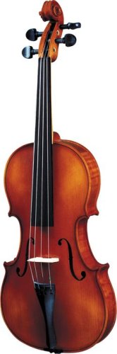 260-1/8 Скрипка студенческая 1/8 Strunal