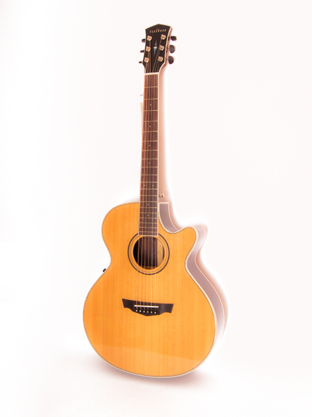 PW-570 Акустическая гитара, с чехлом, Parkwood