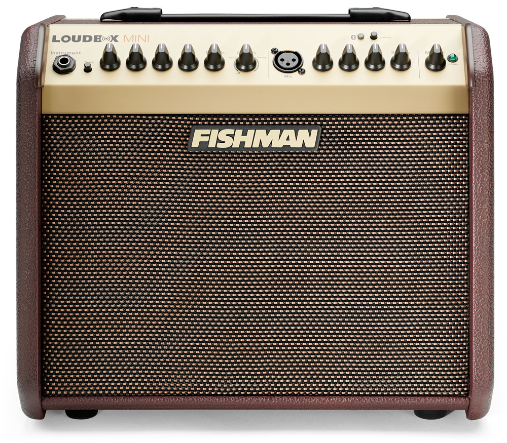 PRO-LBT-EU5 Комбоусилитель для акустической гитары, Fishman