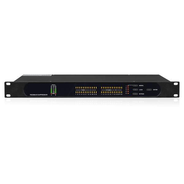 D2200F Подавитель обратной связи, двухканальный, DSPPA