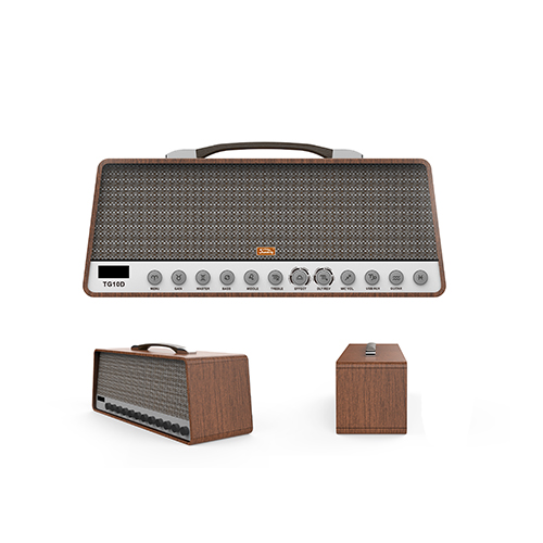 TG10D Комбоусилитель гитарный с цифровыми эффектами и USB, 20Вт, Soundking