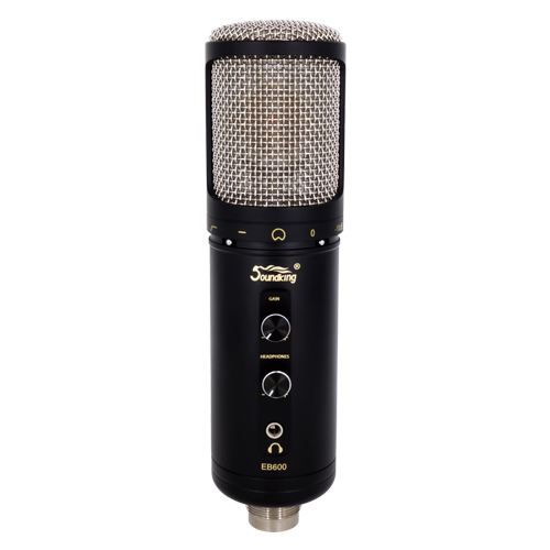 EB600 Микрофон конденсаторный, студийный, Soundking