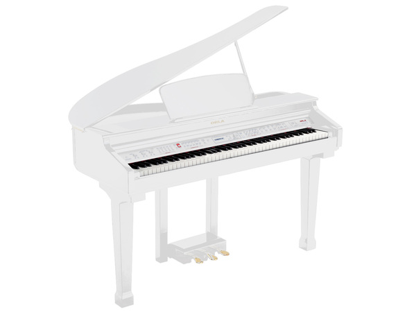 Grand-120-WHITE Цифровой рояль, с автоаккомпанементом, белый (2 коробки), Orla