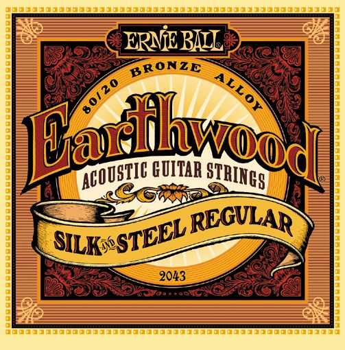 P02043 Earthwood Silk & Steel Regular Струны для акустической гитары сталь+шелк 13-56 Ernie Ball