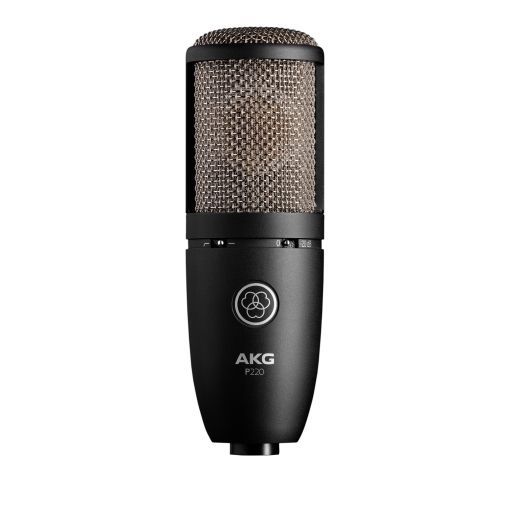 AKG P220 - микрофон конденсаторный кардиоидный , мембрана 1', в комплекте 'паук', кейс