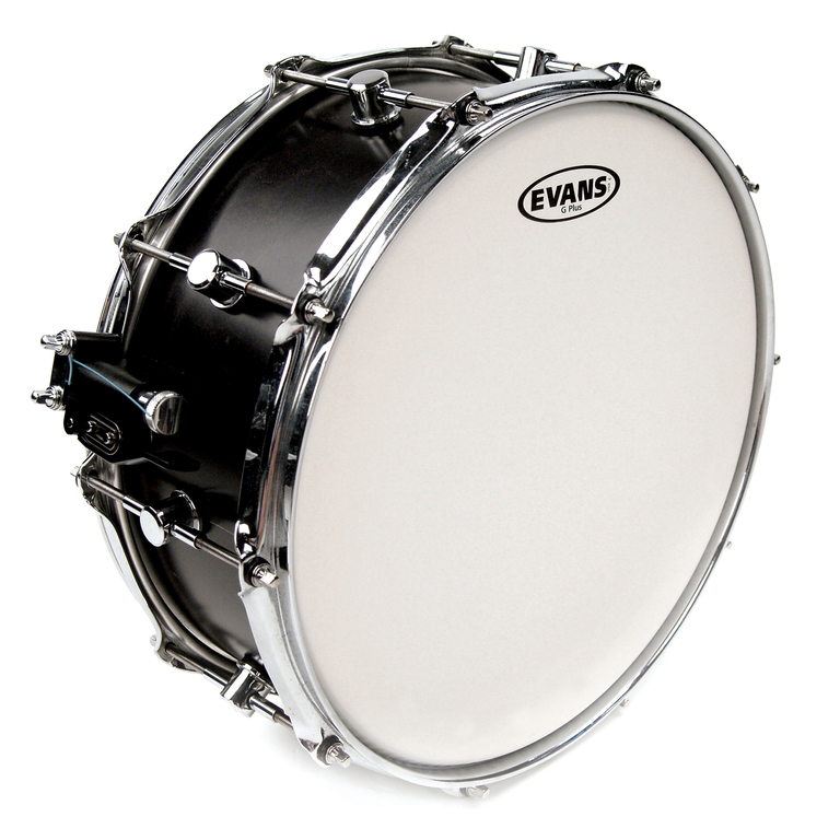 B13GPW G Plus Coated White Пластик для малого и том барабана 13", Evans