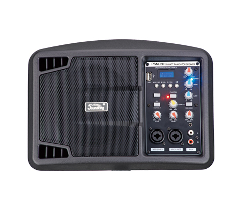 PSM05R Монитор активный, 150Вт, Soundking