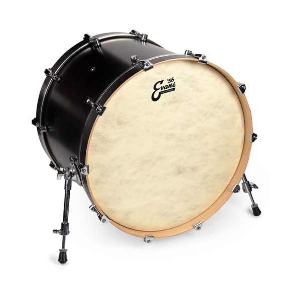 BD18CT Calftone Пластик для бас-барабана 18", Evans