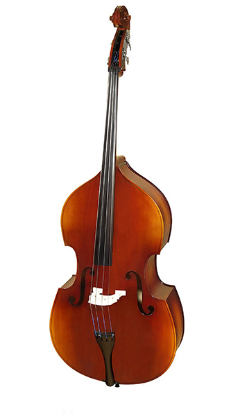 B110-5-4/4 Rhapsody Student Контрабас студенческий 4/4, 5-струнный, Hora