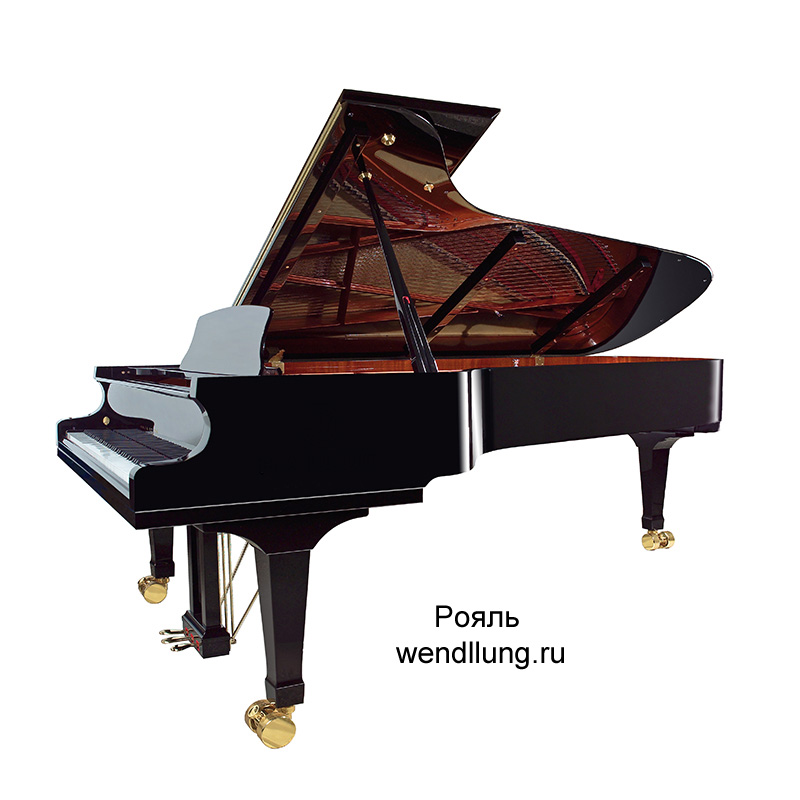 VG278BK Рояль акустический, черный Wendl&Lung