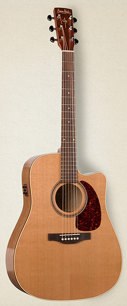 033768 CWGT Cedar QIT Электро-акустическая гитара, с чехлом, Simon & Patrick