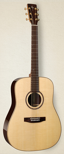 025213 Showcase Rosewood DLX TRIC Акустическая гитара, с футляром, Simon & Patrick