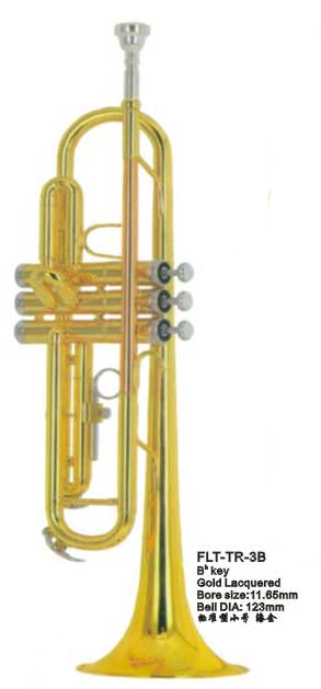 FLT-TR-3B Труба Conductor