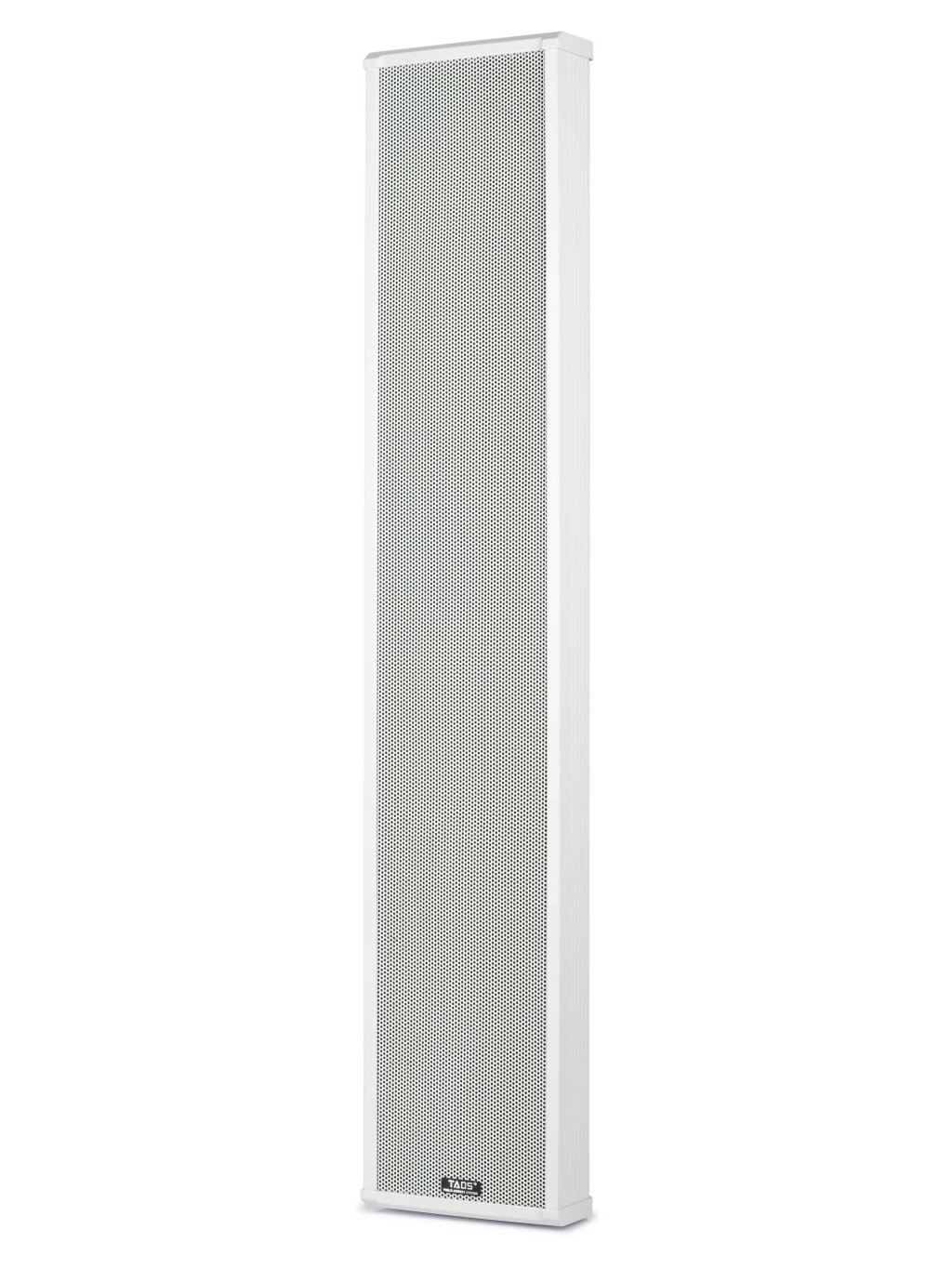 DS-100F Акустическая система, 100Вт, TADS