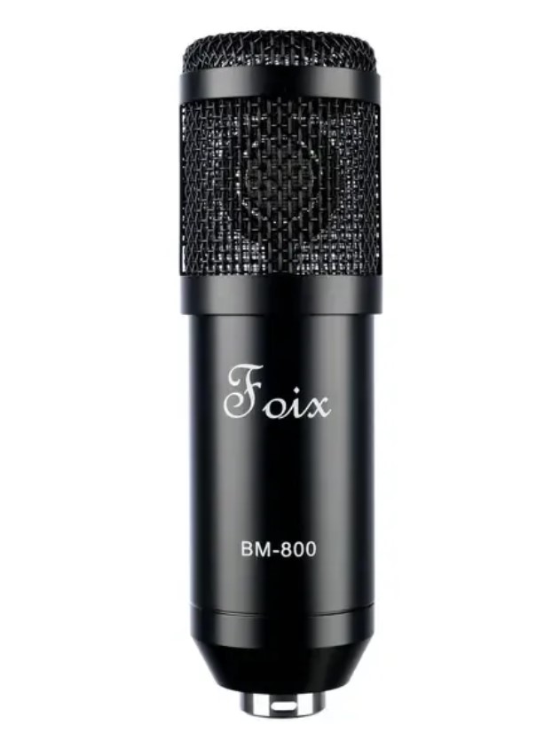 BM800 Микрофон, Foix