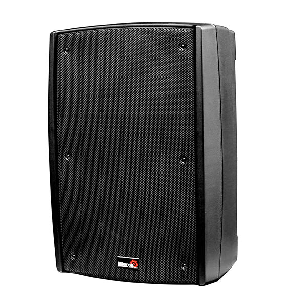 B2-112-power Активная акустическая система, 400Вт, Biema